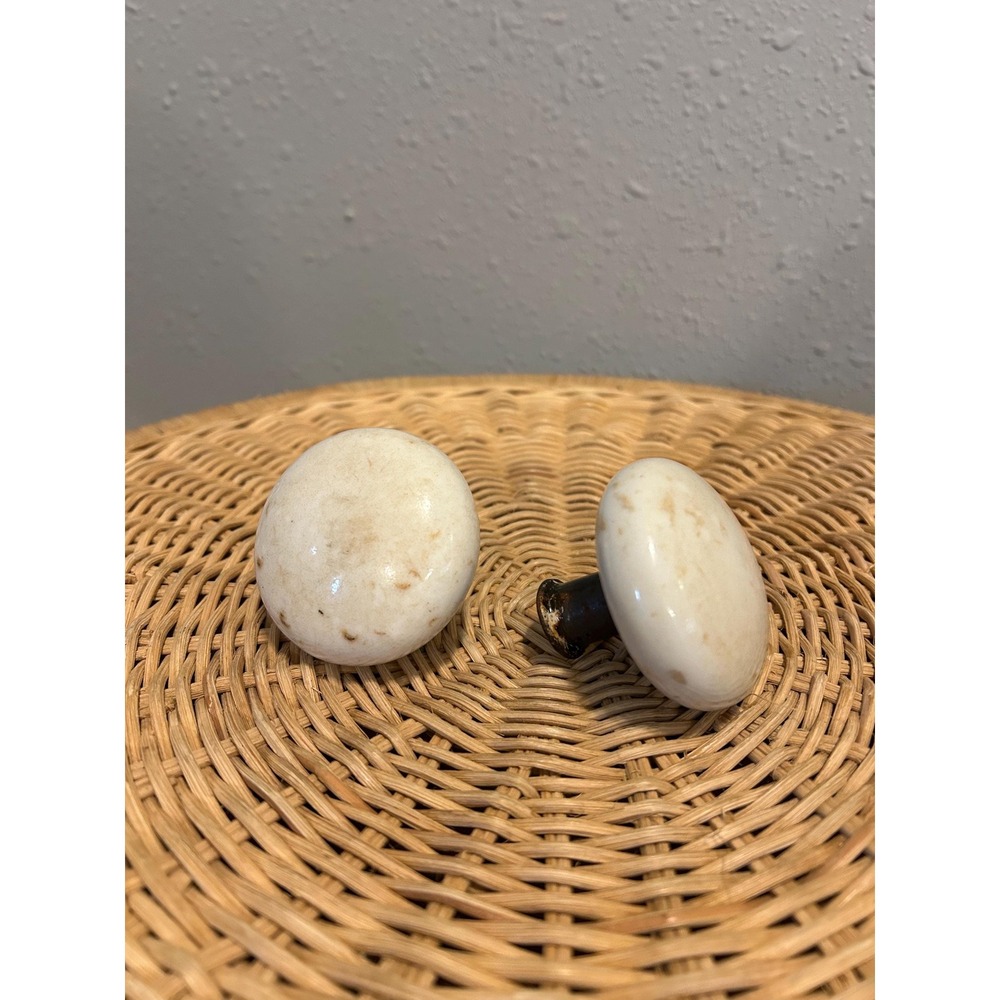 Antique Porcelain Door Knob Pair White Cream Set of 2